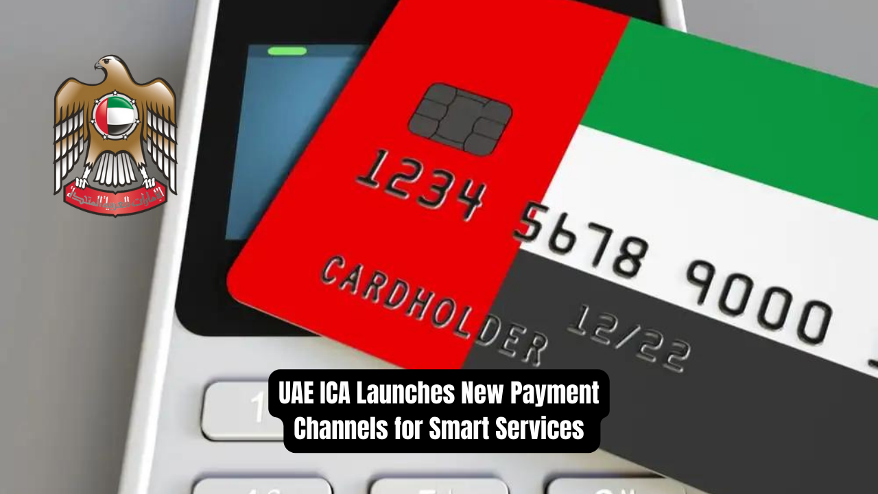 UAE entrepreneur support services