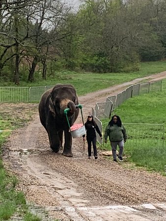 Smartwall protection deactivated Please pay to continue usage.