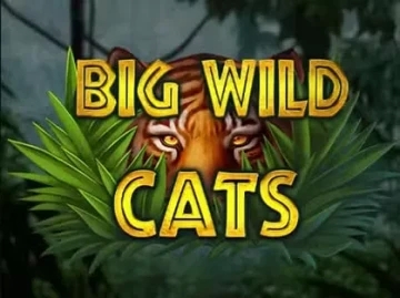 Wolfy Casino: recension av spelet och bonuskoder utan insättning