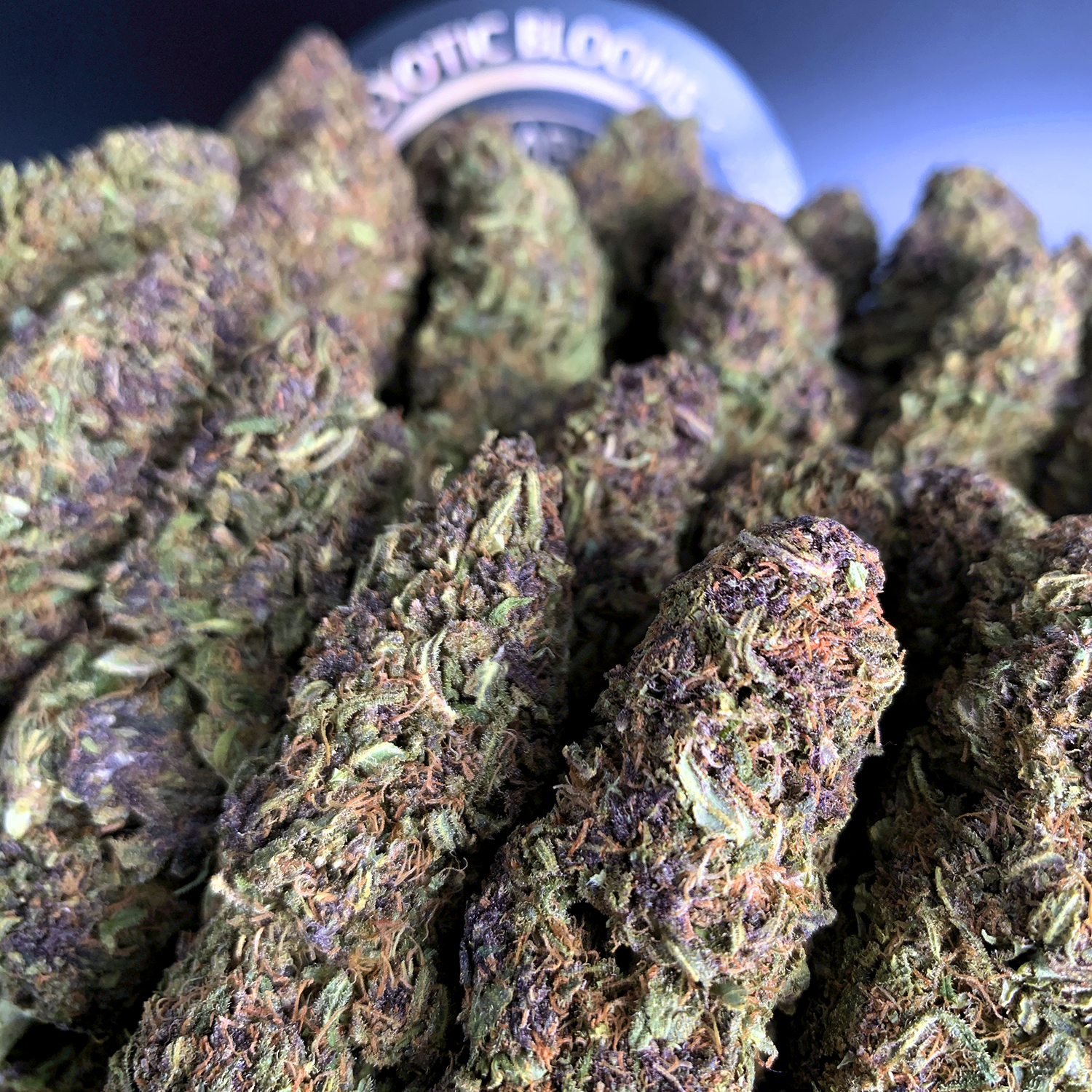 Weed Birth in the Pennsylvania